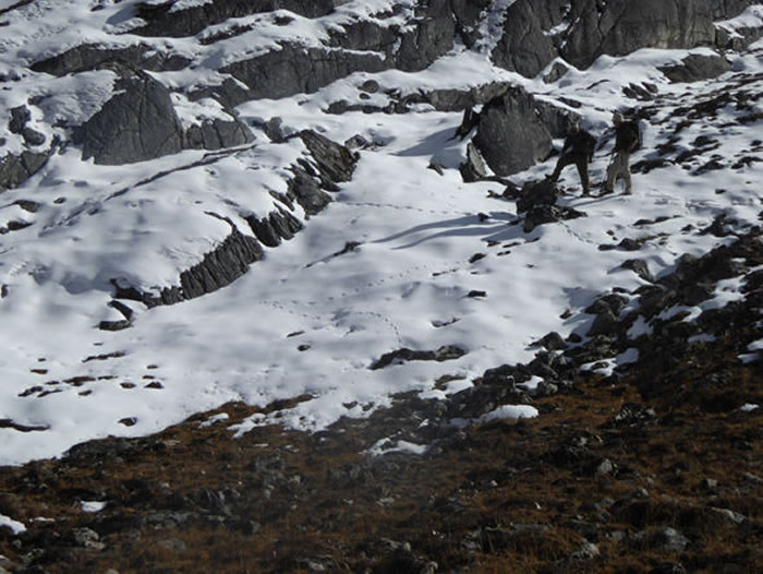 传说中的雪人现身？喜马拉雅山深处发现一组直线大脚印