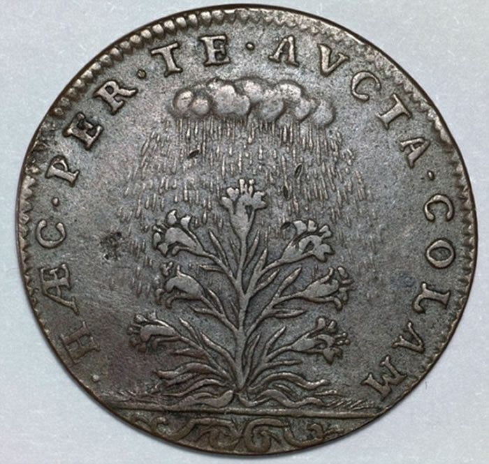 这个代币上所描述物体到底是目前尚不得知，代币的另一面是被雨淋的花状植物。