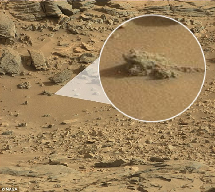 这是外星人猎人在2015年发现的“火星青蛙”，实际上是一块外形类似青蛙的岩石。