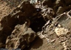 外星人猎人声称在火星表面发现“外星人尸骨”