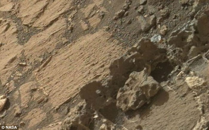 网友指出，图中的“火星生命”骨骼残骸非常类似于人类骨骼。