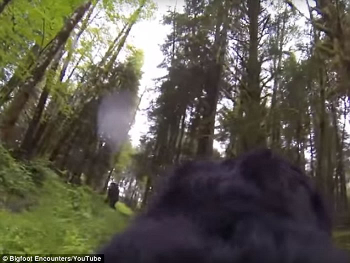 美国安装了运动相机的宠物狗在俄勒冈州丛林中拍摄到“大脚野人”