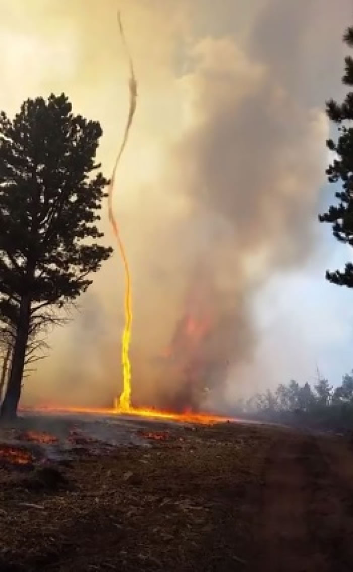 美国南加州大火肆虐 惊现“火龙卷”吞林木