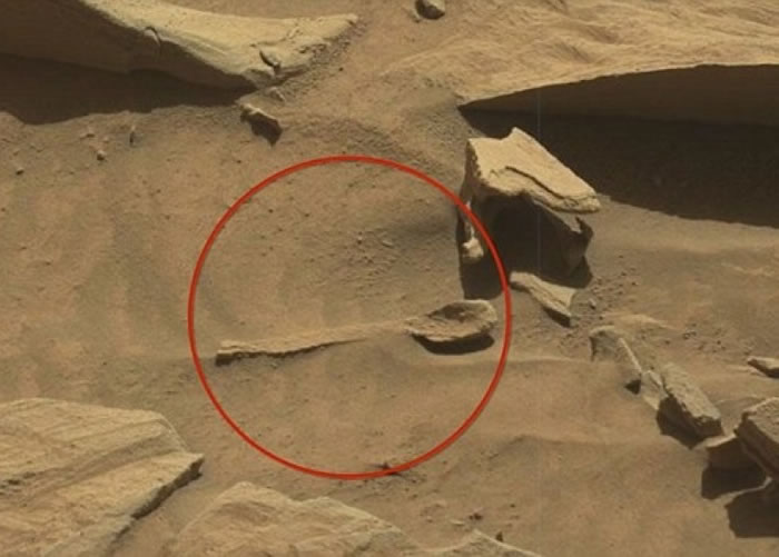 有网民发现一只“匙羹”（红圈示）埋在火星表面。