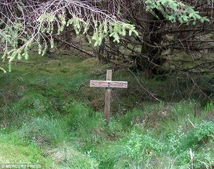 英国北爱尔兰女子在闹鬼森林遛狗时意外拍到疑为大脚怪的身影