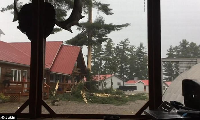 加拿大魁北克省大树被雷电击中形成强光 场面震撼