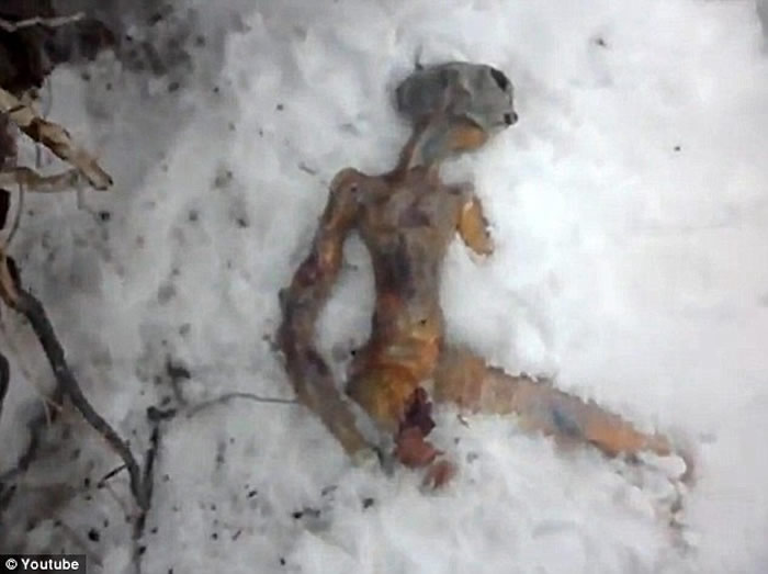 俄罗斯西伯利亚的伊尔库次克雪地发现外星人尸体？政府声明影片纯属恶作剧