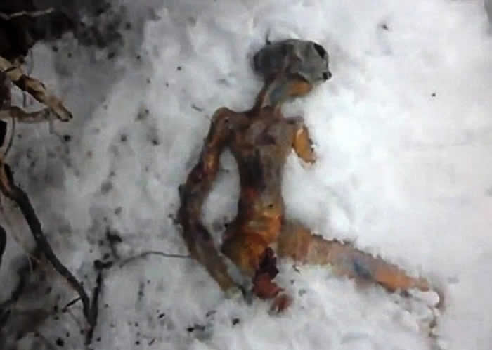 俄罗斯西伯利亚现疑似外星人尸体惹热议
