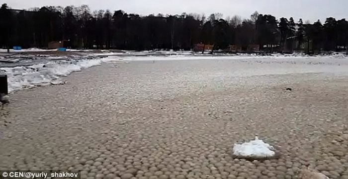 俄罗斯芬兰湾奇景：数千巨型冰球聚海岸