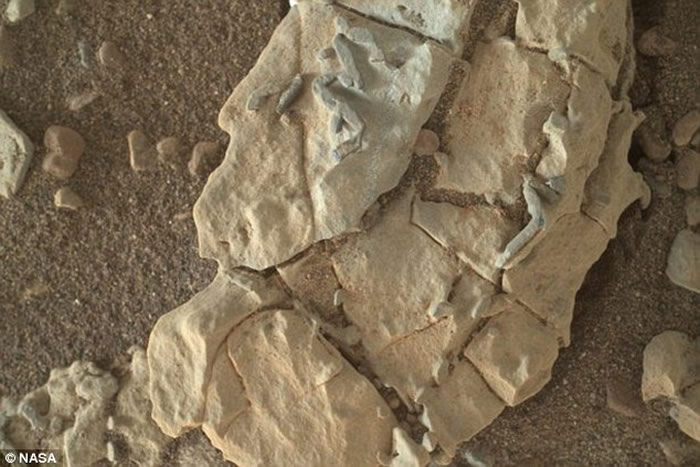 白金汉大学研究员Barry DiGregorio称在火星上发现外星人脚印化石的线索