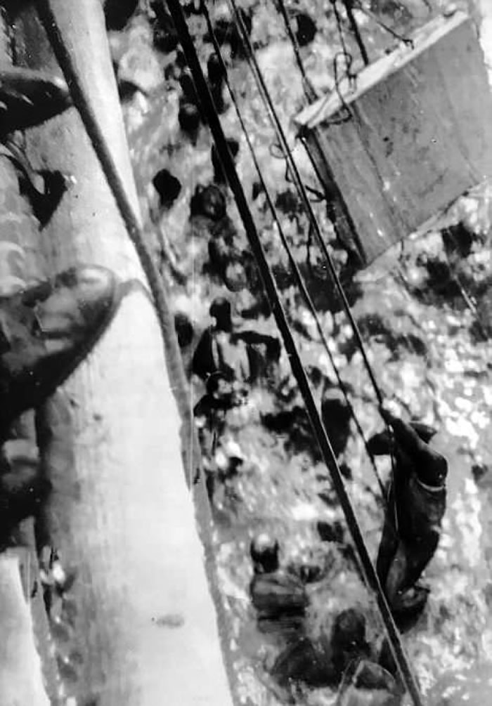 多塞特郡号船员放下绳索，让俾斯麦号船员爬上甲板。