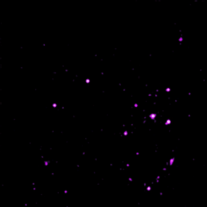 上面的这张动画，是由钱卓X射线望远镜所拍摄的X射线影像，以及哈伯太空望远镜所拍摄的可见光影像结合而成。环绕星系的紫色亮点是超亮X射线源，天文学家解释，这些天体的