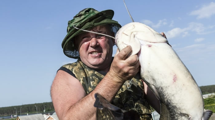 俄罗斯索契居民在池塘捕到一条重量超过32公斤的巨大鲶鱼