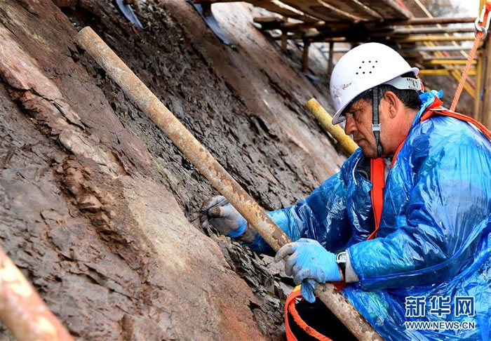 10月15日，来自希腊莱斯沃斯世界地质公园的保育专家尼古拉斯·萨拉帕克斯在清理准备敷水泥的岩缝。