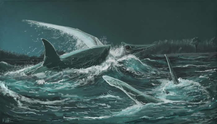 插图描绘一只无齿翼龙惨遭古代角鳞鲨猎捕。 ILLUSTRATION BY MARK WITTON