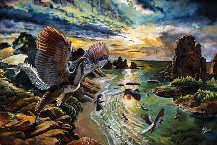 古生物学家发现新的鸟类始祖：是鸟类进化链中缺失一环