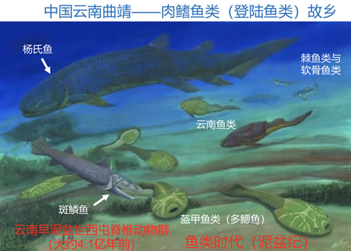 4亿年前云南曲靖水下艺术想象图和位置地图
