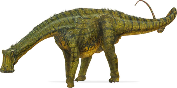 阿根廷巴塔哥尼亚内乌肯发现食草恐龙新物种Lavocatisaurus