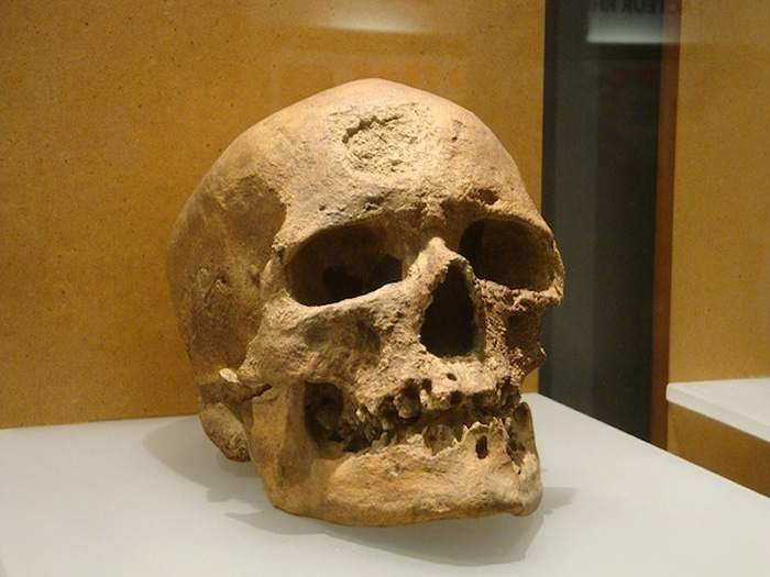 “克罗马农1号”头骨翻砂模型，巴黎人类博物馆收藏。