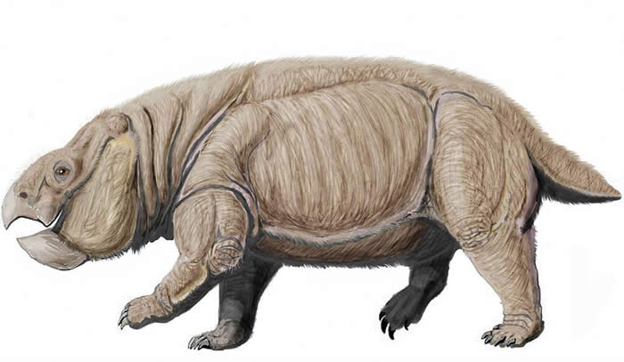 大象大小的哺乳动物近亲二齿兽Lisowicia bojani在晚三叠世出现 当时恐龙才刚进化出巨大体型