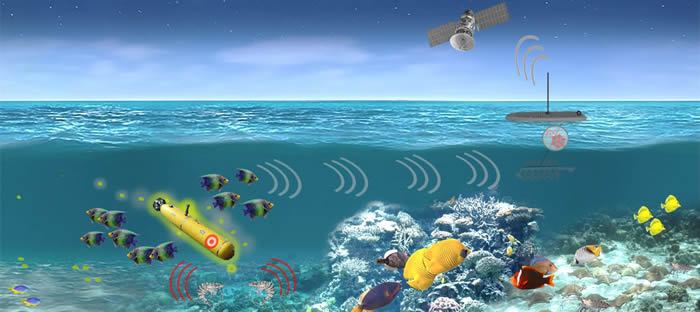 美国国防部将启动有关借助海洋动物鱼、虾探测潜艇的项目