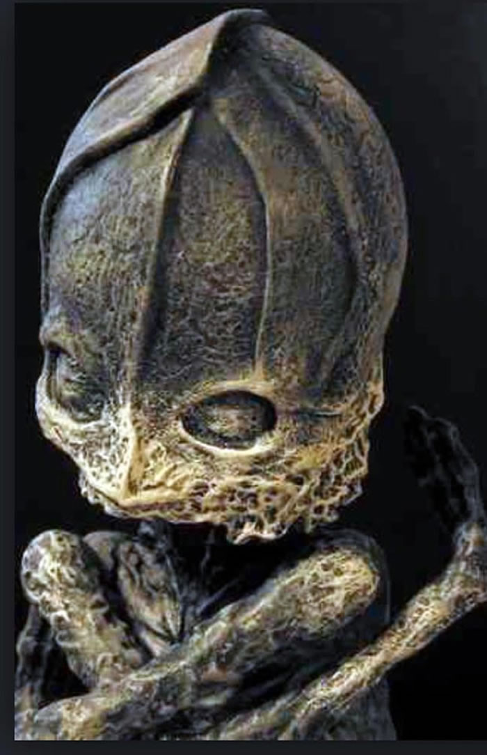 外星人尸体？1996年俄罗斯老奶奶发现的“侏儒小矮人”被证实是核灾难畸形人类婴儿