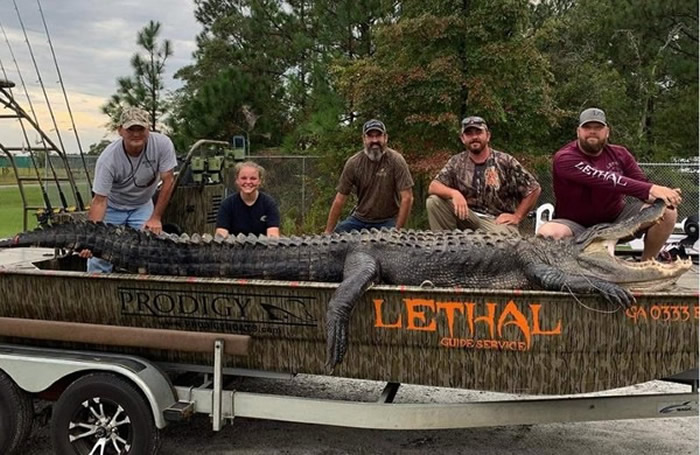 美国乔治亚州男子耗费6小时捕获4.2公尺超级巨鳄