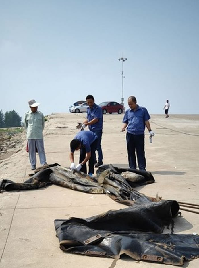 20米长“三峡水怪”在安徽省池州市渡轮码头被捕上岸真面目曝光：造船厂废弃气囊