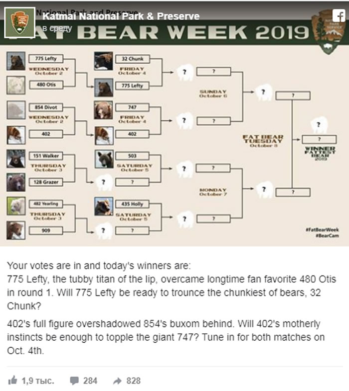 美国阿拉斯加卡特迈国家公园和自然保护区开始一年一度的最胖的熊比赛