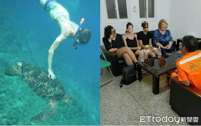 德国少年到台湾屏东小琉球浮潜摸一下保育类“绿蠵龟”被逮捕