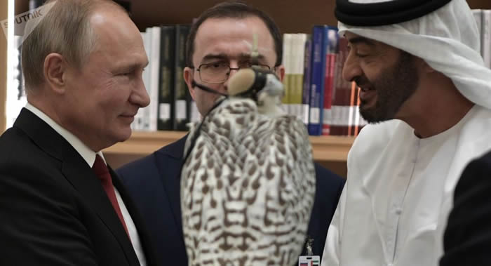 俄罗斯鸟类学家：普京赠送给沙特和阿联酋的两只猎鹰是“真正的钻石级”