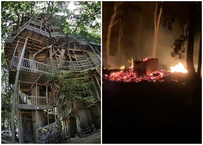 树屋被烧成灰烬（右图）。左图为树屋原貌。