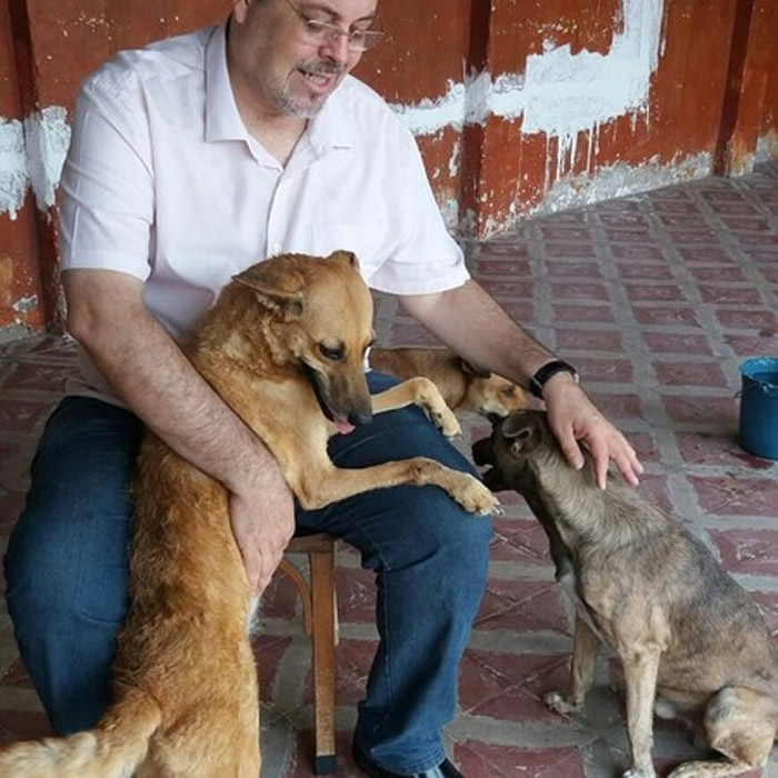 狗狗也望弥撒！巴西教堂神父有感于流浪狗问题严重 无条件放它们进门
