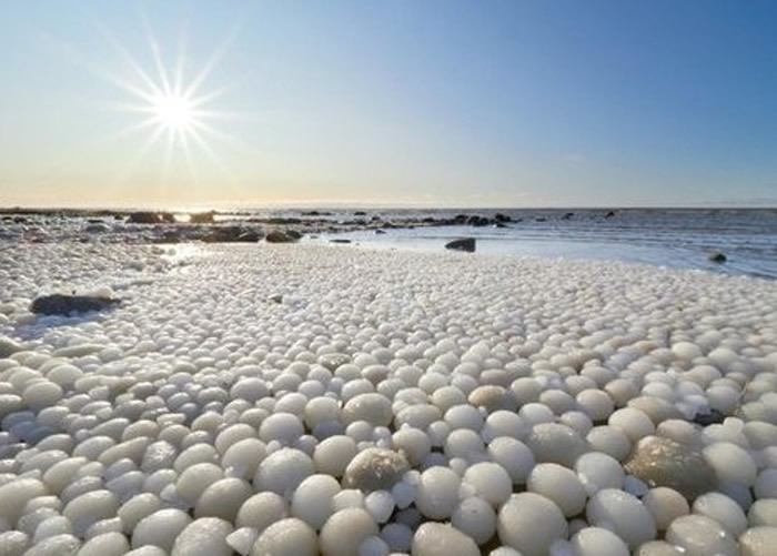 芬兰北部海卢奥托岛海滩布满神秘白色圆形“异形蛋” 专家指为罕见自然现象“冰球”