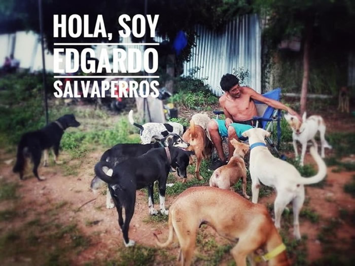 墨西哥男子Edgardo Perros带着一群狗花6年时间行走1.4万公里