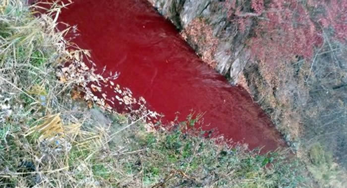 朝韩边境界河旁的临津江支流部分被猪肉血污染