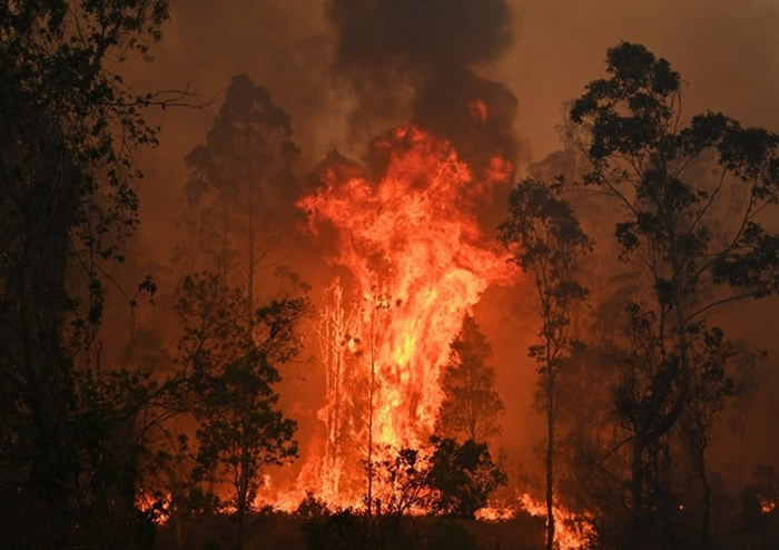 澳大利亚山火最新卫星图片曝光 烟雾直扑新西兰南岛