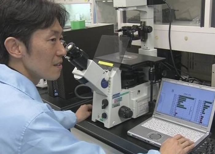 日本学者发现百岁人瑞血液内的特殊免疫细胞含量比常人高逾10倍 或解长寿之谜