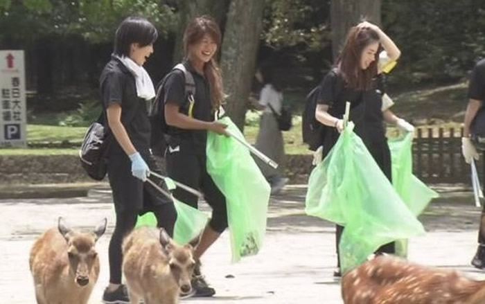 日本奈良公园多只鹿疑因吃塑料袋丧生 保护动物组织进行捡垃圾活动