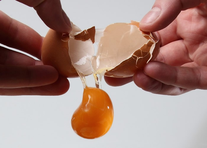 印尼的鸡蛋已受污染。