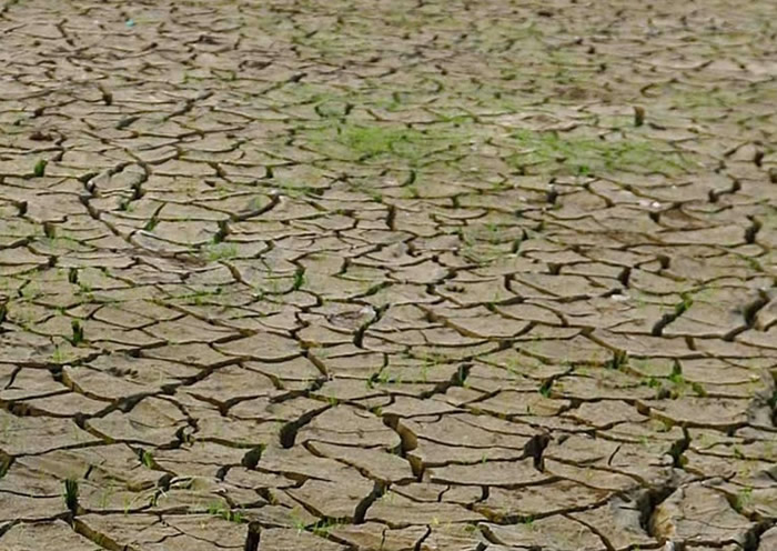 多国近年出现干旱。多国近年出现干旱。