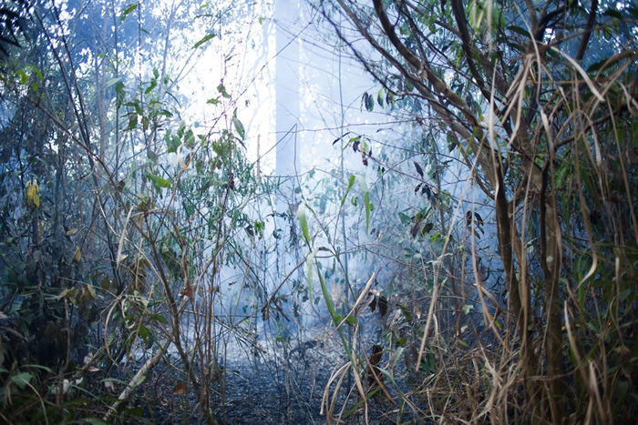 大火焚烧过后的欣古胜利保护区。 Ana Ionova摄；来源：Mongabay