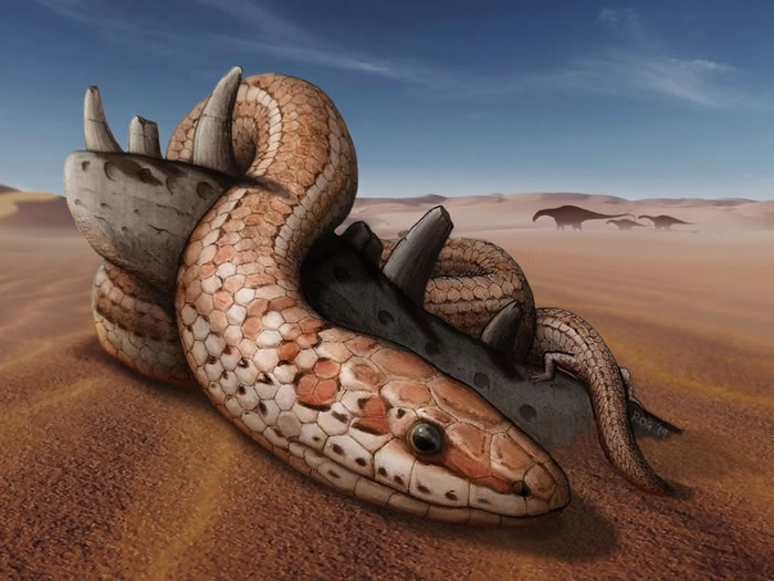阿根廷出土完整的两腿古蛇颅骨化石 颠覆过往蛇类演化假说