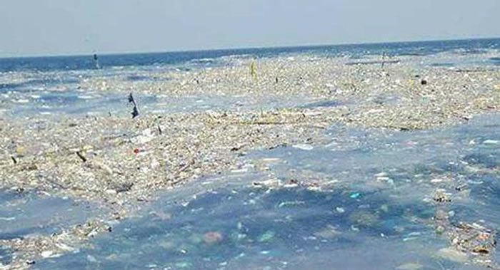 中日韩将合作采取措施应对海洋塑料垃圾问题