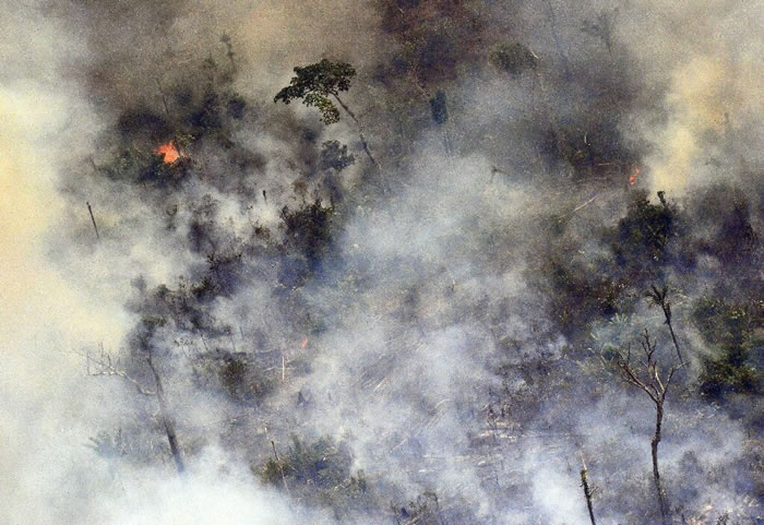 《科学报告》：亚马逊流域西南部的雨林火灾可能会加剧安第斯山脉的热带冰川融化