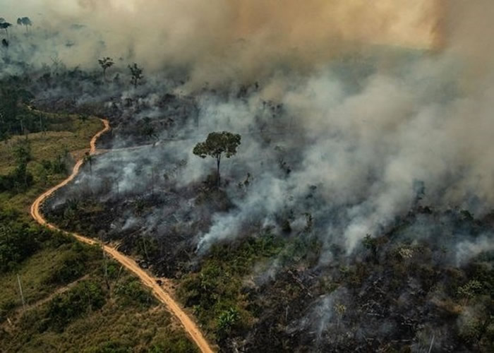 研究指亚马逊雨林大火，或加剧安第斯山脉冰川融化。