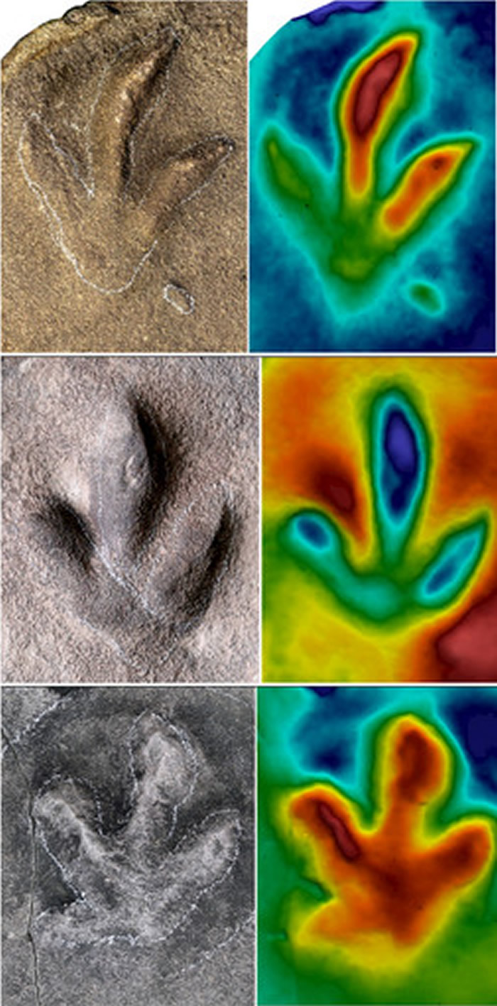河北承德避暑山庄发现大量侏罗纪恐龙足迹化石：包括恐爪龙类、实雷龙、韩国鸟和雷龙