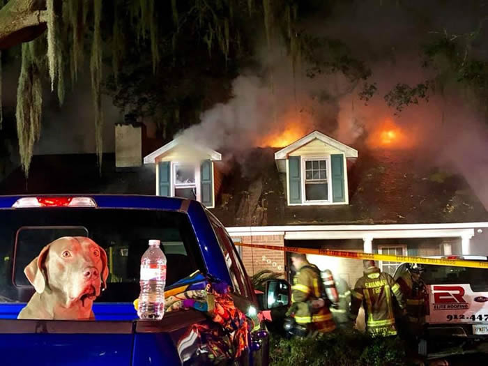 美国佐治亚州忠犬及时通知发生火灾挽救了主人的性命