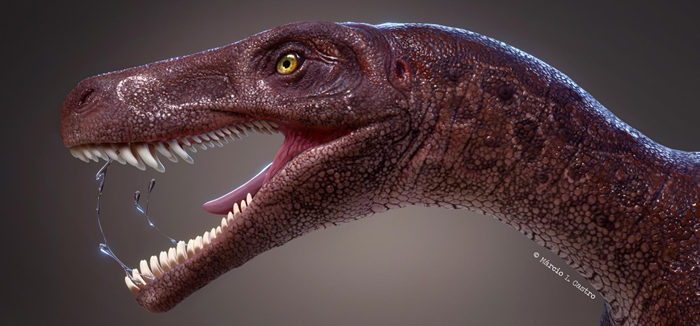 图中的卡布雷拉噬颌龙（Gnathovorax cabreirai）是巴西的同类肉食性恐龙里最古老的物种，也是全世界最古老的恐龙之一。 ILLUSTRATION