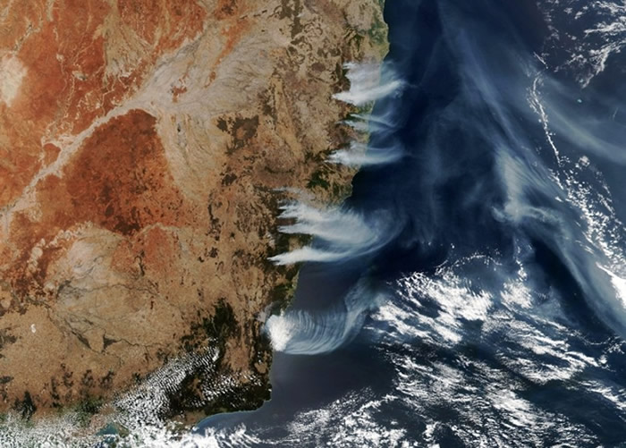 澳洲东部山火排2.5亿吨二氧化碳 占全年排放量一半